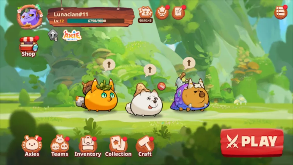 Axie Infinity