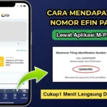 Cara Mendapatkan EFIN Online 2026 (Via M-Pajak & Email)