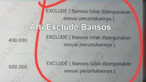 Exclude Bansos Artinya Apa? Kupas Tuntas Penyebab & Cara Mengembalikan Bantuan yang Hilang
