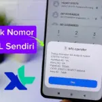 Cara Cek Nomor XL Sendiri Paling Update 2026 (Tanpa Ribet)
