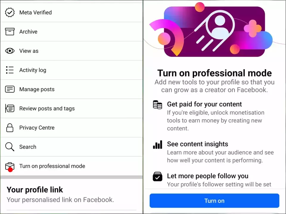 Fb Pro