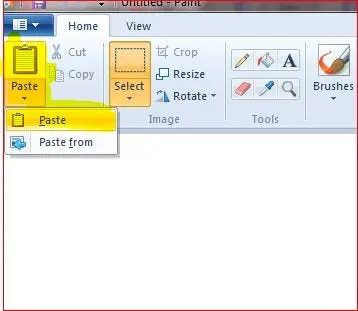 Paste Di Paint